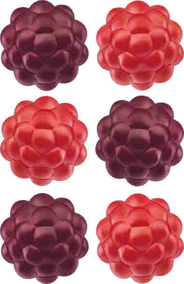 07330869135791_C1C1.tif