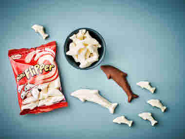 MiniFlipper.tif